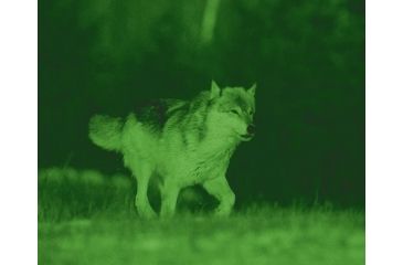 Image of ATN NVB5X-CGTI Night Vision Bi-Ocular NVBNB05XCI