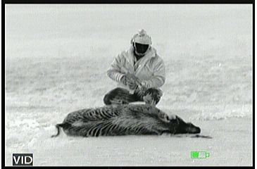 Image of ATN Odin Thermal Imager - 31CW 320x240, 17mm, 30Hz, Weapon Sight Kit TIWSOD31C