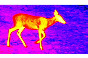 Image of ATN OTS 4T, 2-8x, 384x288, Thermal Viewer w/ Full HD Video rec, WiFi, Smooth zoom, iOS/Android Controlling App, Black, TIMNO4382A