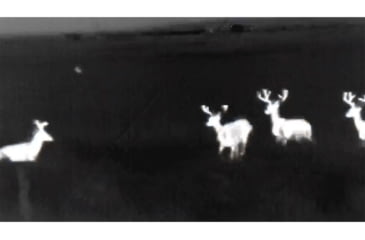 Image of ATN OTS 4T, 4.5-18x, 384x288, Thermal Viewer w/ Full HD Video rec, WiFi, Smooth zoom, iOS/Android Controlling App, Black, TIMNO4384A