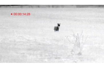 Image of ATN OTS 4T, 4.5-18x, 384x288, Thermal Viewer w/ Full HD Video rec, WiFi, Smooth zoom, iOS/Android Controlling App, Black, TIMNO4384A