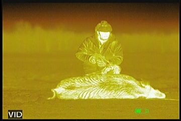 Image of ATN OTS-X-S350, 320x240, 50mm, 9Hz Thermal Imaging Monocular TIMNOTSXS350