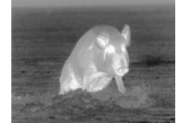 Image of DEMO ATN Thor 320 3x Enhanced Thermal Imaging Weapon Sight TIWSMT323D-DEMO