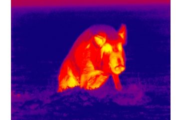 Image of DEMO ATN ThOR 320 4.5x Enhanced Thermal Imaging Weapon Sight TIWSMT324A-DEMO