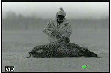 Image of Thor320-4.5x 336x256, 50mm, 60Hz, 17 Micron Thermal Weapon Sight