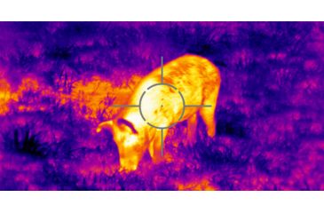 Image of ATN ThOR 4 Thermal Smart HD Rifle Scope, 2-8x25mm, Black, TIWST4382A