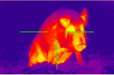Image of ATN ThOR-336 4.5-18X Thermal Waterproof Rifle Scope 60Hz TIWSMT334A
