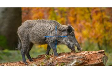 Image of ATN X-Sight 4K Buckhunter Daytime Rifle Scope, 3-14x50mm, 30mm Tube, First Focal Plane, Multiple Reticles, Black, DGWSXS3144KB