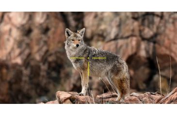 Image of ATN X-Sight 4K Buckhunter Daytime Rifle Scope, 3-14x50mm, 30mm Tube, First Focal Plane, Multiple Reticles, Black, DGWSXS3144KB