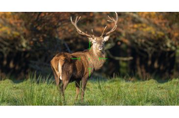 Image of ATN X-Sight 4K Buckhunter Daytime Rifle Scope, 3-14x50mm, 30mm Tube, First Focal Plane, Multiple Reticles, Black, DGWSXS3144KB