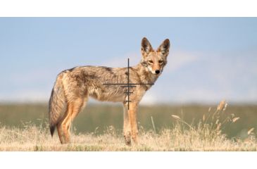 Image of ATN X-Sight 4K Buckhunter Daytime Rifle Scope, 3-14x50mm, 30mm Tube, First Focal Plane, Multiple Reticles, Black, DGWSXS3144KB