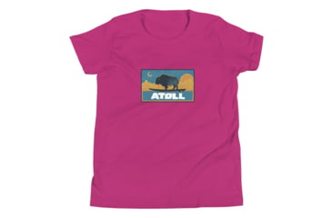Image of Atoll Board Co Youth Short Sleeve T-Shirt with Atoll Sunset Bison Night Graphic - Berry, XL - Berry,XL, 630D3F0D83E6BBerry-XL