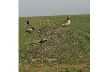 Image of Avery Outdoors KillerWeed Layout Blind Kit,Winter Wheat 47304