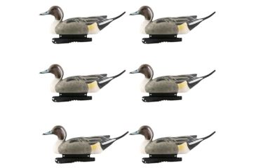 Image of Avery Outdoors Life-Size Pintails, Drake, 1/2 dozen, Realistic Postures, 73050
