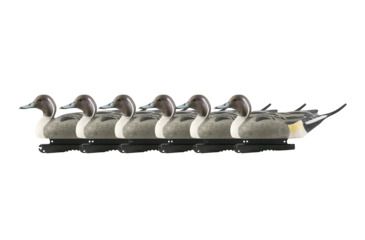 Image of Avery Outdoors Life-Size Pintails, Drake, 1/2 dozen, Realistic Postures, 73050