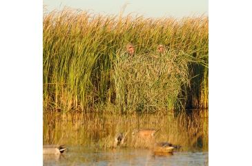 Image of Avery Outdoors Real Grass,Early Season Green 4-Pack Bag 39010