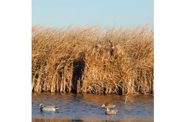 Image of Avery Outdoors Real Grass,Mid Season Tan 4-Pack Bag 39011