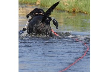 Image of Avery Sporting Dog 30in Floating Check Cord 2170