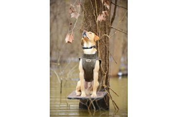 Image of Avery Sporting Dog Boater's Dog Parka, BTML, Extra Small 03108
