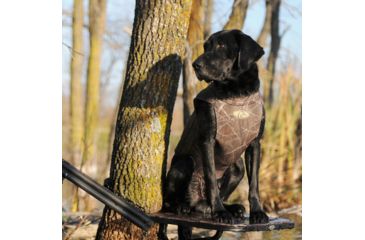 Image of Avery Sporting Dog Boomer Stand,BuckBrush 90013