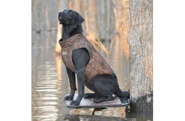 Image of Avery Sporting Dog Boomer Stand,BuckBrush 90013
