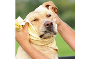 Image of Avery Sporting Dog Dogsorber Dry Towel 2800
