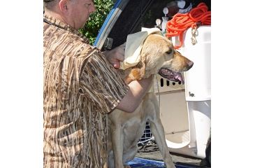 Image of Avery Sporting Dog Dogsorber Dry Towel 2800