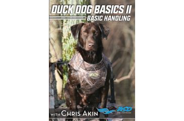 Image of Avery Sporting Dog Duck Dog Basics 2 DVD 89994