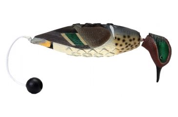 Image of Avery Sporting Dog EZ Bird Trainer,Green-Winged Teal 2010