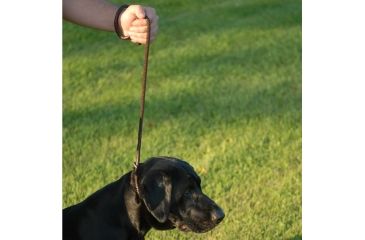 Image of Avery Sporting Dog Leather Line Lead 2171