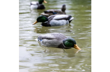 Image of Avian X Tip Up Mallard Feeder