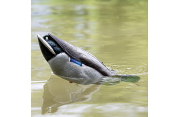Image of Avian X Tip Up Mallard Feeder