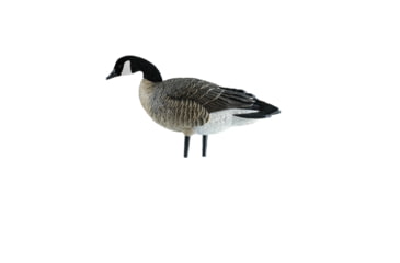 Image of Avian X AXP Outfitter Lesser Pack w/12 Slot Bag, AVX-AVX9009