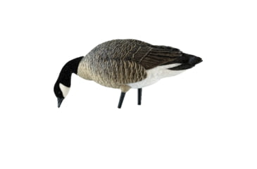 Image of Avian X AXP Outfitter Lesser Pack w/12 Slot Bag, AVX-AVX9009