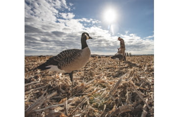 Image of Avian X AXP Outfitter Lesser Pack w/12 Slot Bag, AVX-AVX9009