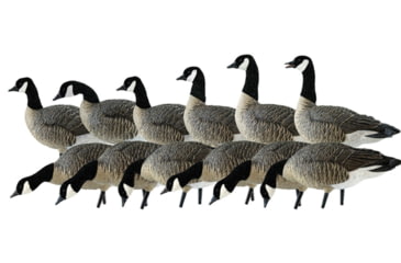 Image of Avian X AXP Outfitter Lesser Pack w/12 Slot Bag, AVX-AVX9009