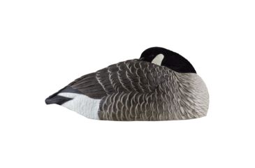 Image of Avian X Canada Sleeper Shells, Black, Pack of 6, 9011