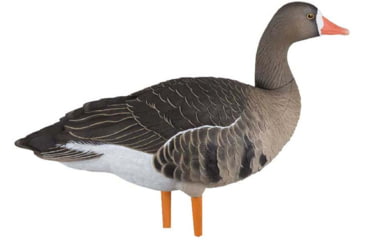 Image of Avian X Fusion Pack AXF Specklebelly Decoy, AVX-AVX9019