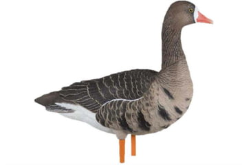 Image of Avian X Fusion Pack AXF Specklebelly Decoy, AVX-AVX9019
