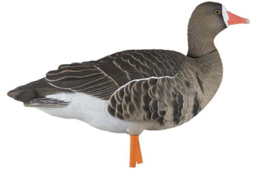 Image of Avian X Fusion Pack AXF Specklebelly Decoy, AVX-AVX9019