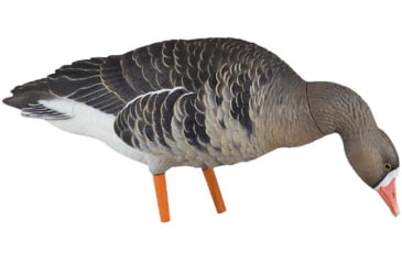 Image of Avian X Fusion Pack AXF Specklebelly Decoy, AVX-AVX9019
