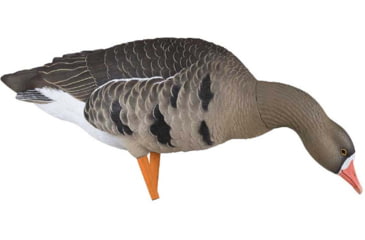 Image of Avian X Fusion Pack AXF Specklebelly Decoy, AVX-AVX9019