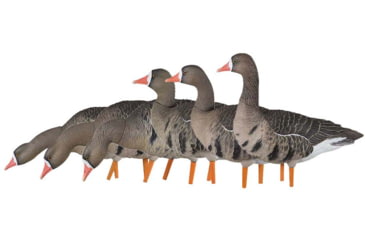 Image of Avian X Fusion Pack AXF Specklebelly Decoy, AVX-AVX9019