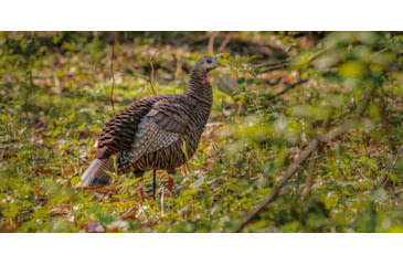 Image of Avian X HDR Hen Decoy, Synthetic, AVXAVX8106
