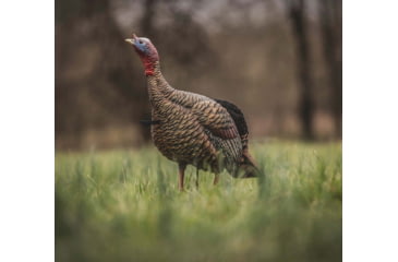 Image of Avian X HDR Jake Decoy, Black, AVX-AVX8105