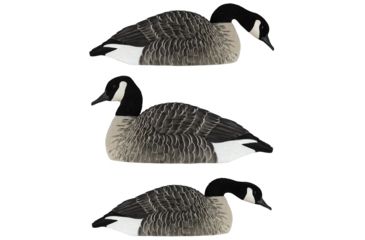 Image of Avian X Honker Shell Decoys, Black, Pack of 6, 9010