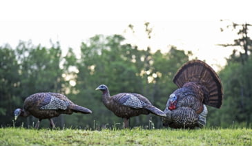 Image of Avian X LCD Strutter Decoy, Synthetic, AVXAVX8004