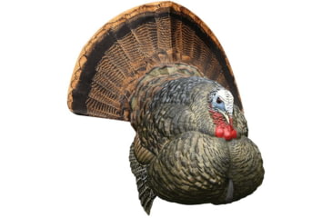 Image of Avian X LCD Strutter Decoy, Synthetic, AVXAVX8004