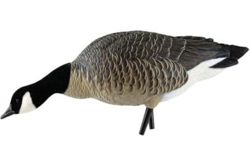 Image of Avian X Outfitter Pack AXF Lessers Decoy, AVX-AVX9033