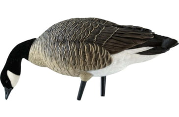Image of Avian X Outfitter Pack AXF Lessers Decoy, AVX-AVX9033